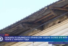 Более 876 млн тенге составил ущерб от пожаров в Шымкенте с начала года