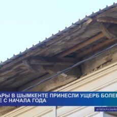 Более 876 млн тенге составил ущерб от пожаров в Шымкенте с начала года