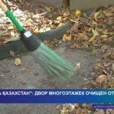«Таза Қазақстан»: двор многоэтажек в 3 мкр-не Шымкента очищен от мусора
