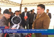 Аким Шымкента в Туране: от благодарностей до претензий