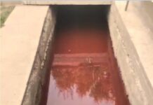 Неизвестное красное вещество обнаружили в канале Шымкента