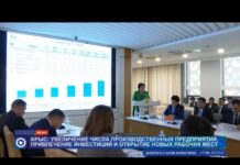 Стратегия экономического развития города Арыс до 2030 года