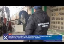 Два жителя Шымкента осуждены за организацию подпольной майнинговой фермы