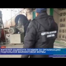 Два жителя Шымкента осуждены за организацию подпольной майнинговой фермы