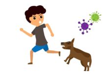 У кого не бывает бешенства?