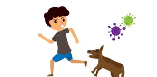 У кого не бывает бешенства?