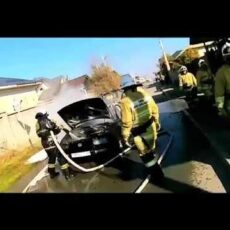 Шымкентские пожарные оперативно ликвидировали возгорание автомобиля