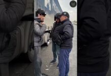 Преступную схему незаконной миграции раскрыли в Туркестанской области