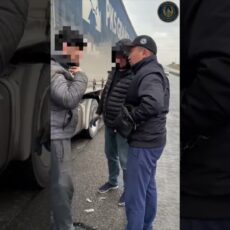 Преступную схему незаконной миграции раскрыли в Туркестанской области