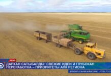 В свежих идеях нуждается агропромышленный комплекс Туркестанской области