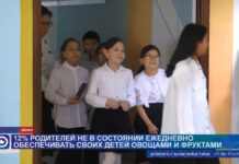 12% родителей не могут ежедневно кормить детей фруктами и овощами