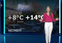 Информативный прогноз погоды на вторник, 19 ноября