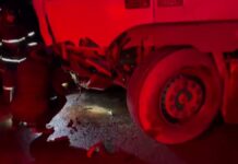 В Туркестанской области в ДТП погибли 4 человека