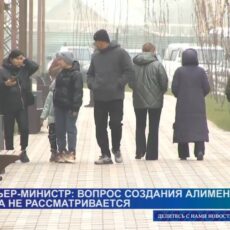 Премьер-министр страны прокомментировал отказ от создания алиментного фонда