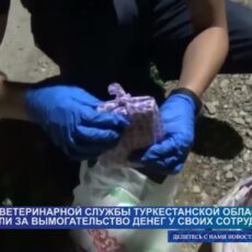 Главу ветеринарной службы Туркестанской области осудили за вымогательство денег у своих сотрудников