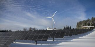 Круглый стол по вопросам зелёного и низкоуглеродного развития в Азии