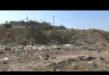 Трех заместителей акимов в Шымкенте оштрафовали за незаконные свалки