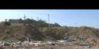 Трех заместителей акимов в Шымкенте оштрафовали за незаконные свалки