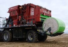 Как в Туркестанской области выращивают хлопок и сохраняют воду