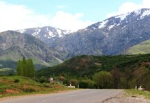 Размышления на дачную тему