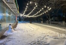 Зимняя красота города: Шымкент в белом наряде