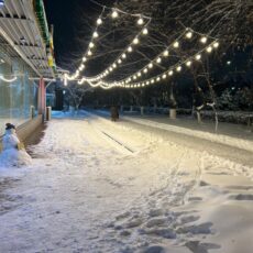 Зимняя красота города: Шымкент в белом наряде