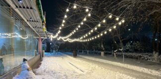 Зимняя красота города: Шымкент в белом наряде