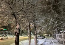 В Шымкенте ожидается снег и плюсовая температура: погода на 3 дня