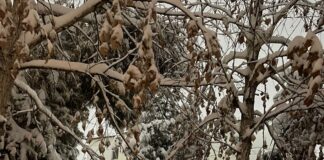 Он подарит нам 3 часа