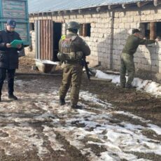 Туннель для контрабанды нефтепродуктов нашли в Туркестанской области