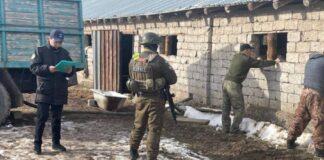 Туннель для контрабанды нефтепродуктов нашли в Туркестанской области