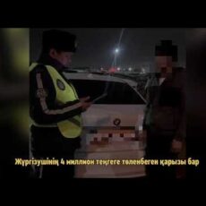 Водитель с многомиллионным неуплаченным штрафом попытался скрыться от полицейских