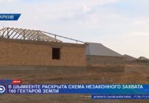 В Шымкенте предоставляли земельные участки по поддельным документам