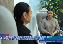 Змеиная мудрость: как встретить новый год гармонично и удачно