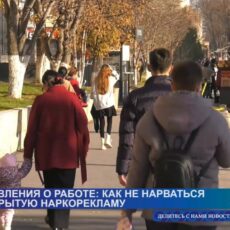 На улицах Шымкента появились объявления о работе со скрытой наркорекламой