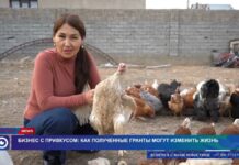 Бизнес с привкусом: как полученные гранты могут изменить жизнь