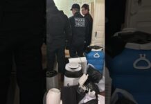 Наркосбытчиков задержали в Шымкенте