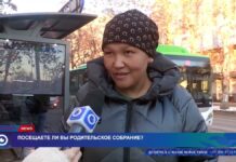 Посещаете ли вы родительские собрания?