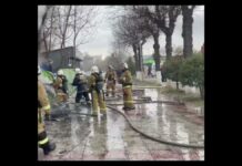 В парке Шымкента сгорело популярное кафе быстрого питания