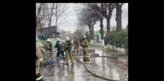 В парке Шымкента сгорело популярное кафе быстрого питания