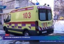 В Шымкенте увеличилось количество случаев бытового насилия в три раза