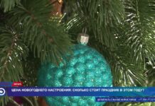 Цена новогоднего настроения: сколько стоит праздник в этом году?
