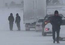 Из-за непогоды движение ограничено для всех автомобилей в Туркестанской области