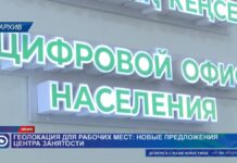 Почему шымкентцы теряют рабочие места?