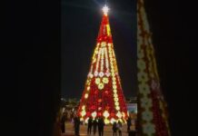 В Шымкенте зажгли главную ёлку города, к счастью, никто не пострадал