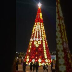 В Шымкенте зажгли главную ёлку города, к счастью, никто не пострадал