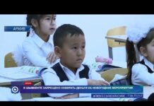 В Шымкенте запрещено собирать деньги на новогодние мероприятия в школах