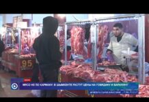 Мясо не по карману: в Шымкенте растут цены на говядину и баранину