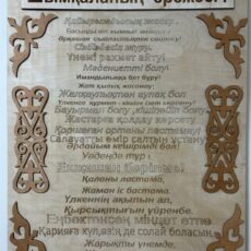 Невероятно, но факт: В Шымкенте есть свои правила