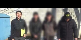 В Шымкенте задержаны двое студентов, подозреваемые в распространении наркотиков